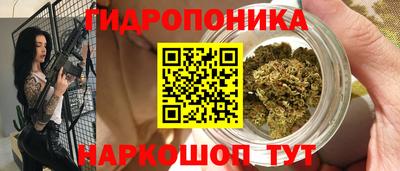 молекула духа Вязьма