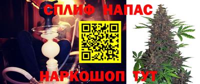 гидра Краснознаменск