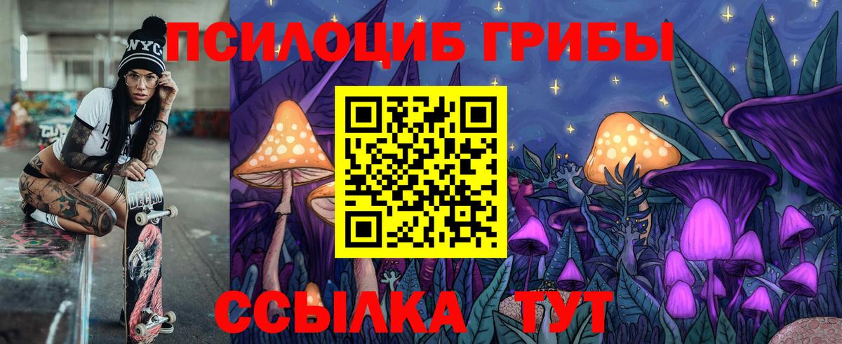 Калининград  Галлюциногенные грибы Cubensis  сколько стоит  Вход с VPN 